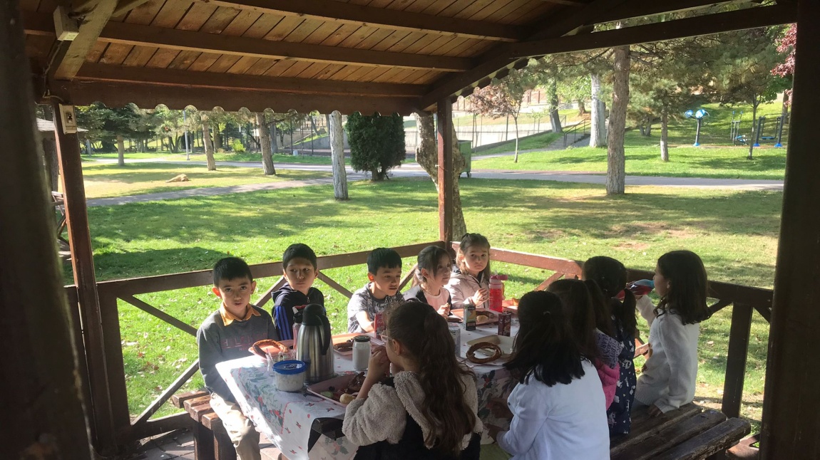 3/A Sınıfı öğrencileri Paşabahçe Mesire Alanında piknik yaptılar.